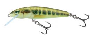 Salmo Minnow Floating 5cm - 